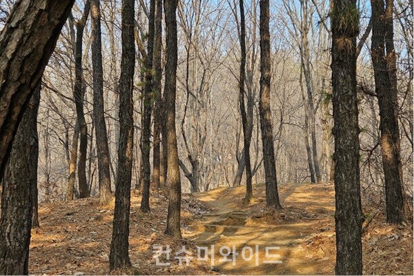 겨울의 아차산   (사진 제공 : 문성민)
