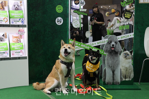 A pet is standing with his noble posturre in the photo zone at the Pulmuone Amio exhibition hall during the 2024 Megazoo. ⓒ Consumerwide  Husoung Jun