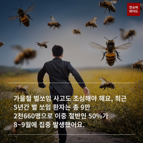 이미지: 어도ⓒ컨슈머와이드비 유료 AI 프로그램으로 제작/ 글 내용: 한국소비자원 보도자료 