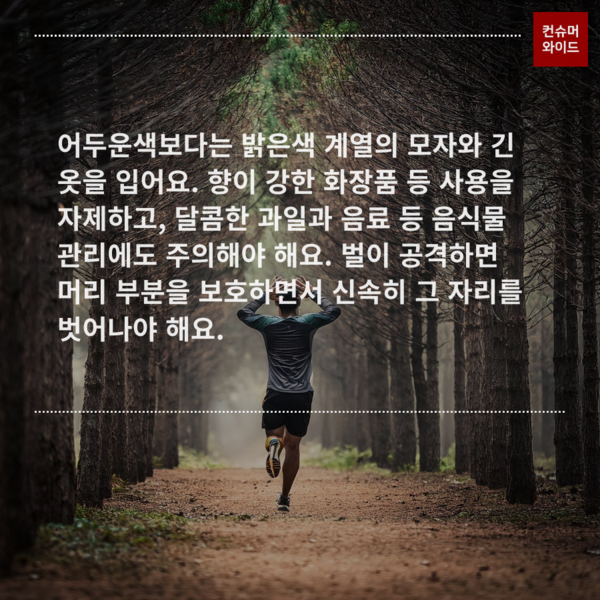 이미지: 어도ⓒ컨슈머와이드비 유료 AI 프로그램으로 제작/ 글 내용: 한국소비자원 보도자료 