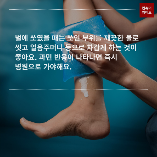 이미지: 어도ⓒ컨슈머와이드비 유료 AI 프로그램으로 제작/ 글 내용: 한국소비자원 보도자료 