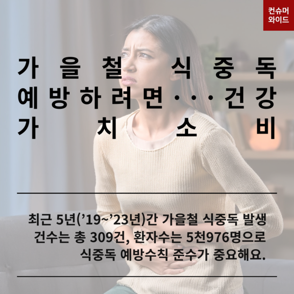 이미지: 어도비 유료 AI 프로그램으로 제작/ 내용: 식약처