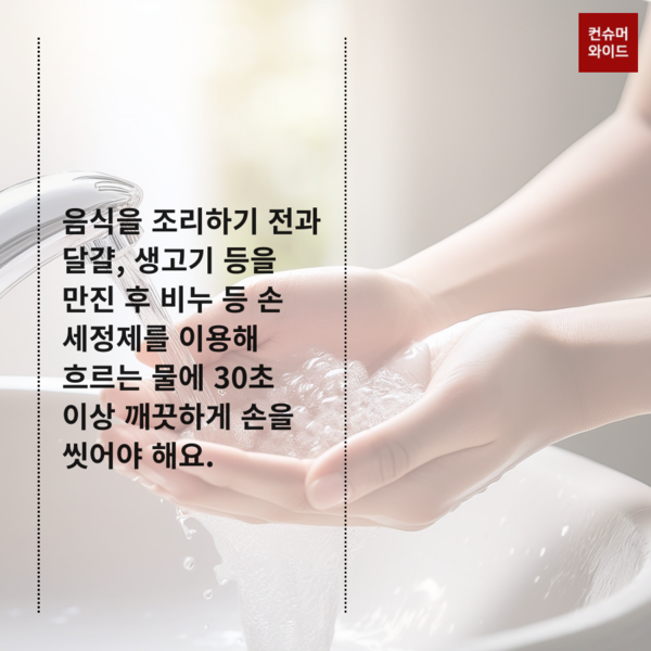 이미지: 어도비 유료 AI 프로그램으로 제작/ 내용: 식약처