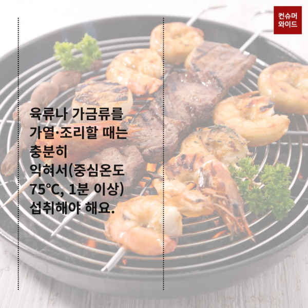 이미지: 어도비 유료 AI 프로그램으로 제작/ 내용: 식약처