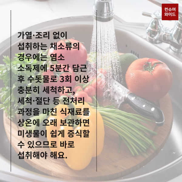 이미지: 어도비 유료 AI 프로그램으로 제작/ 내용: 식약처