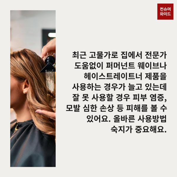 ⓒ어도비 AI 유료 프로그램으로 제작한 이미지/ 컨슈머와이드