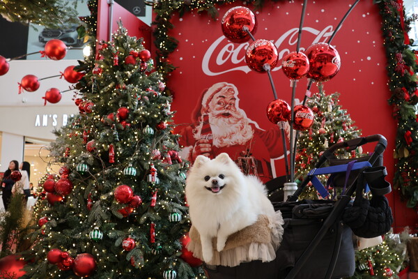 ⓒ컨슈머와이드 전휴성 기자