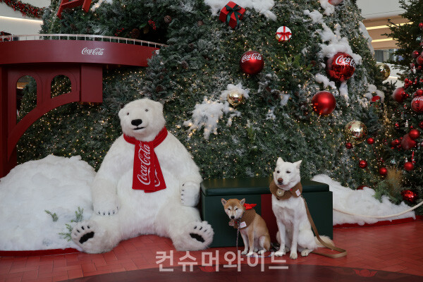 ⓒ컨슈머와이드 강진일 기자