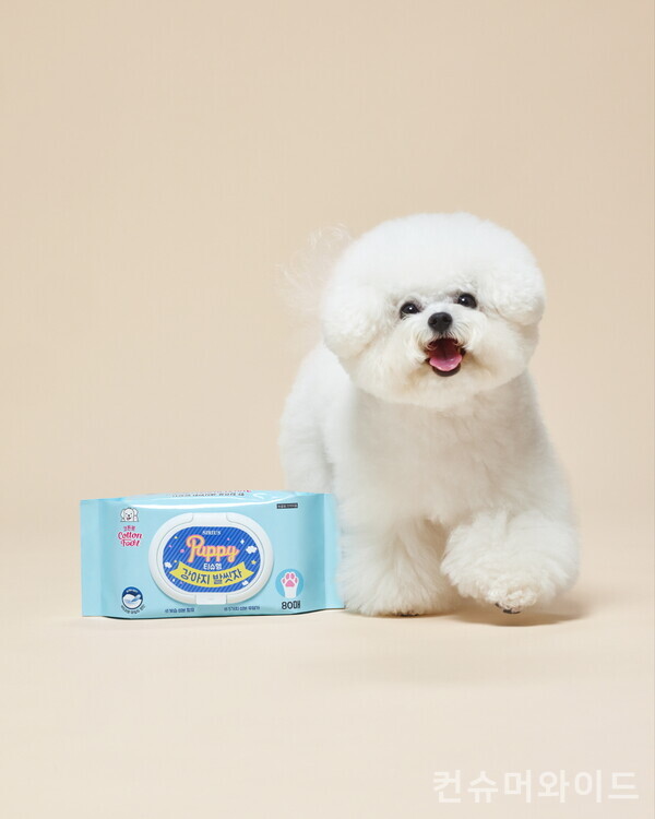 LG생활건강의 티슈형 강아지 발씻자 제품을 선보인다. 사진/LG생활건강