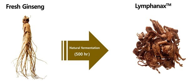 아모레퍼시픽은 자연 숙성 인삼 소재인 '림파낙스(LymphanaxTM)'의 피부 항염 효능을 입증한 연구 결과를 발표했다. 사진/아모레퍼시픽