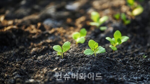 어도비 스톡(유ㄹ료)에서 라이센스를 구매한 이미지/ 컨슈머와이드