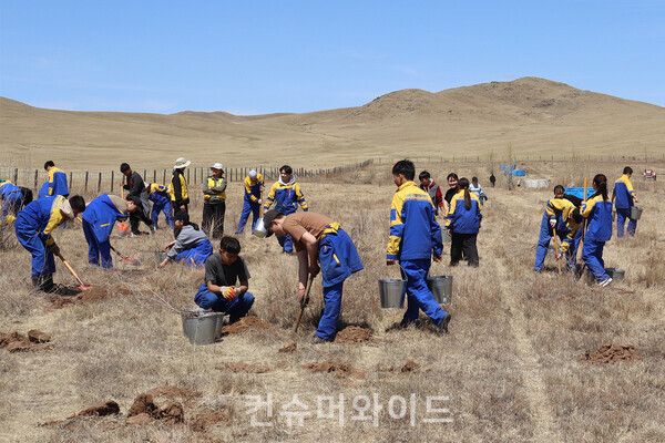 몽골 아르갈란트 ‘상상의 숲’ 조성 식재 활동 모습 ⓒ KT&G