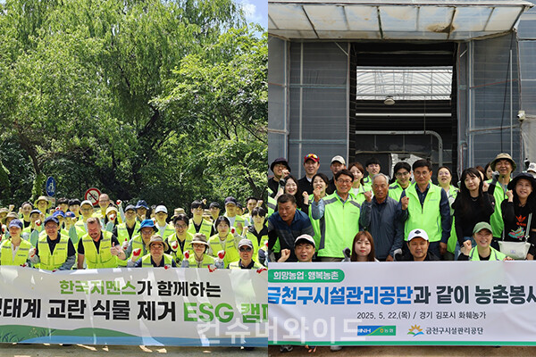 기업, 기관 등이 ESG 캠페인을 통해 생태계 교란 식물을 제거하고, 농촌 봉사활동도 함께했다.