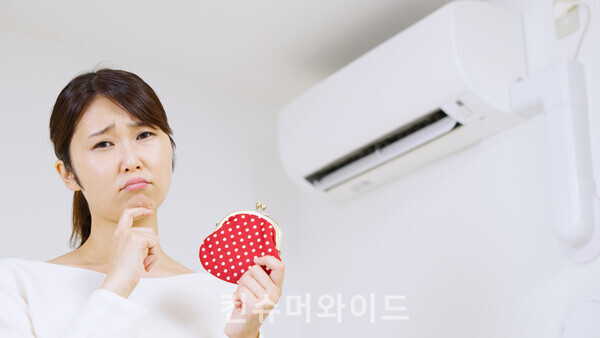 ⓒ어도비 스톡 유료 이미지 / 컨슈머와이드