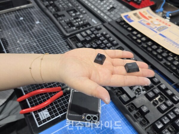 ⓒ컨슈머와이드 전휴성  기자