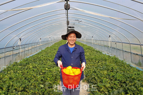 ⓒ 컨슈머와이드 DB