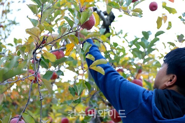 ⓒ 컨슈머와이드 DB