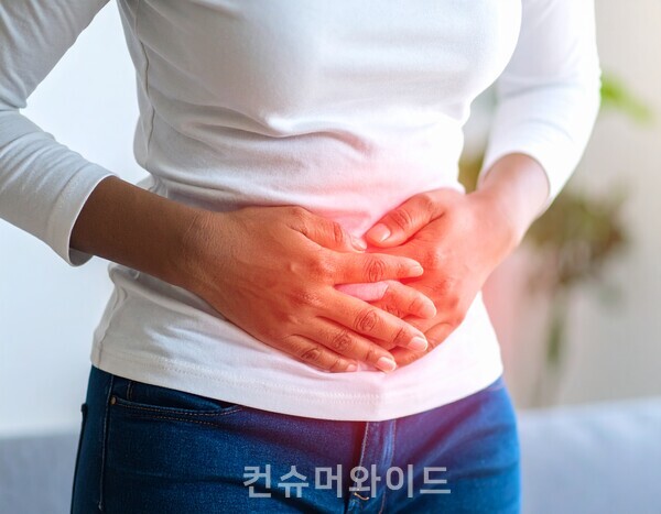 ⓒ어도비 유료 AI 프로그램로 만든 이미지/ 컨슈머와이드