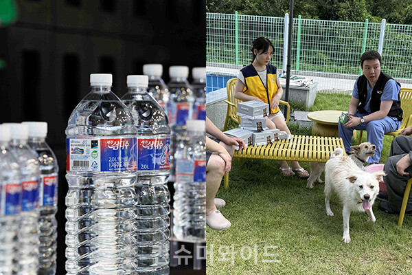 기업들이 광복의 의미를 살리고, 반려동물 보호 문화 확산 등 브랜드의 가치를 더욱 알리기위한 뜻깊은 기부 활동을 진행했다.