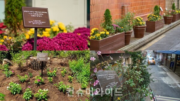 ⓒ컨슈머와이드 DB