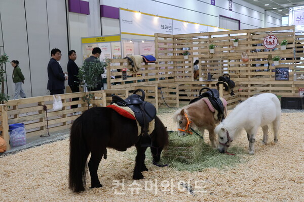유교전에 망아지 ⓒ컨슈머와이드 전휴성 기자